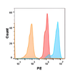 5T4 antibody flow cytometry Expi293 cells human STJA0038108