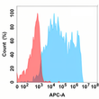 PDL2 antibody flow cytometry Expi293 cells STJA0038116