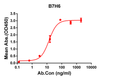 B7H6 antibody ELISA human protein His-tagged STJA0038119