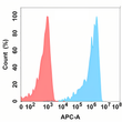 BTLA antibody flow cytometry Expi293 cells STJA0038123