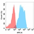 CD200 antibody flow cytometry Expi293 cells STJA0038130
