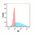 CD34 antibody flow cytometry Expi293 cells human STJA0038139