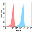 CD5 antibody flow cytometry Expi293 cells STJA0038146