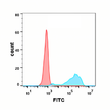 B7-1 antibody flow cytometry Expi293 cells STJA0038149