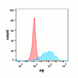 CEACAM5 antibody flow cytometry Expi293 cells STJA0038151