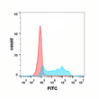 CSF1R antibody flow cytometry Expi293 cells STJA0038156