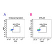 CTLA4 antibody flow cytometry Raji cells STJA0038158