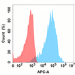PGF antibody flow cytometry Expi293 cells STJA0038159