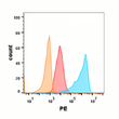 EGFR antibody flow cytometry Expi293 cells STJA0038162