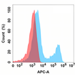 HER3 antibody flow cytometry Expi293 cells STJA0038167