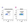 MSLN antibody flow cytometry Expi 293 cells human mesothelin STJA0038176