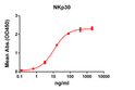 NKp30 antibody ELISA human protein STJA0038177