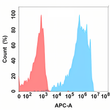 PD-1 antibody flow cytometry Expi293 cells STJA0038180