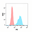PD-L1 antibody flow cytometry Expi293 cells STJA0038181