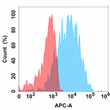 SELP antibody flow cytometry Expi293 cells STJA0038183