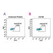 CD138 antibody flow cytometry Expi 293 cells human STJA0038187