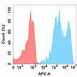 TIGIT antibody flow cytometry Expi293 cells STJA0038192