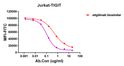 CD155 antibody competition assay Jurkat human TIGIT STJA0038192