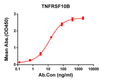 TNFRSF10B antibody ELISA human protein mFc-tagged STJA0038193