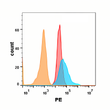 TNFRSF10B antibody flow cytometry Expi293 cells STJA0038193