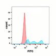 CD30 antibody flow cytometry Expi293 cells human STJA0038196