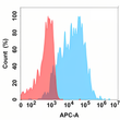 BAFF antibody flow cytometry Expi293 cells human STJA0038199