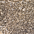 Immunohistochemistry analysis of paraffin-embedded human tonsil using ERCC6 Rabbit polyclonal antibody (STJ11100168) at dilution of 1:100 (40x lens). Perform microwave antigen retrieval with 10 mM PBS buffer pH 7. 2 before commencing with immunohistochemistry staining protocol.