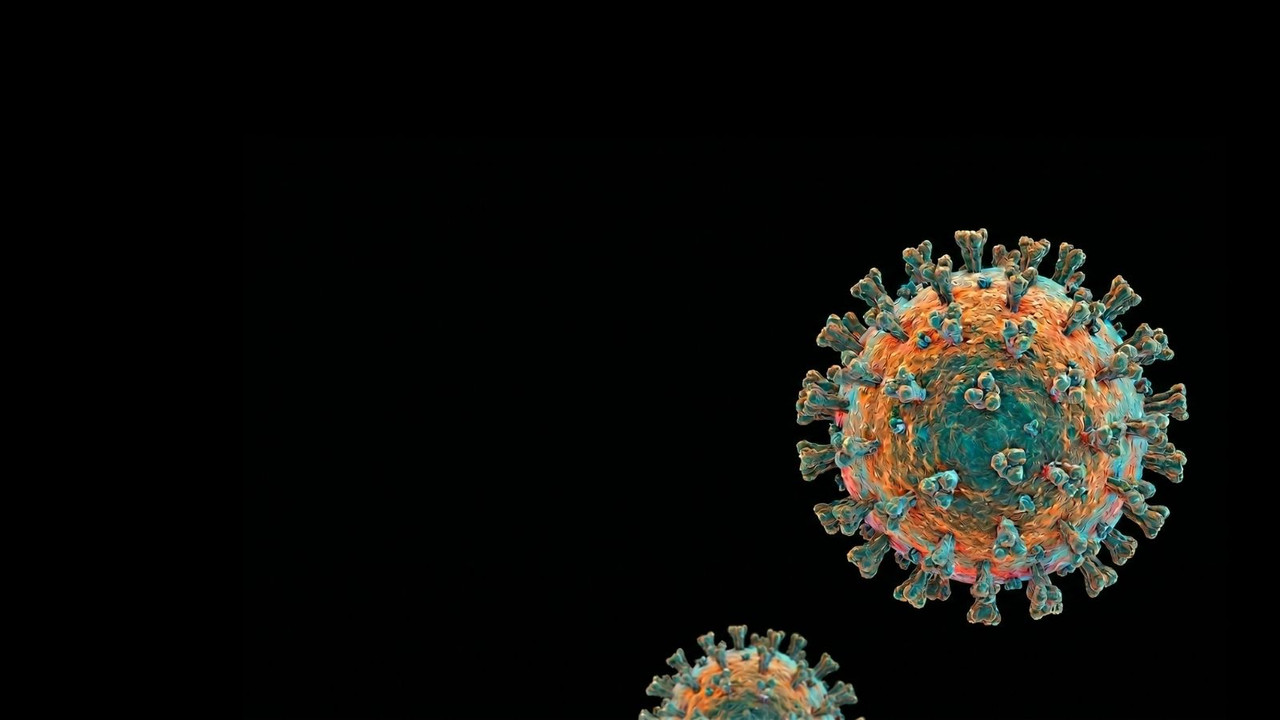 Hantavirus 