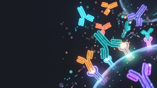Isotype control antibody panel