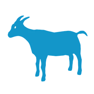 Anti-Goat