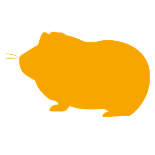 Anti-Guinea Pig