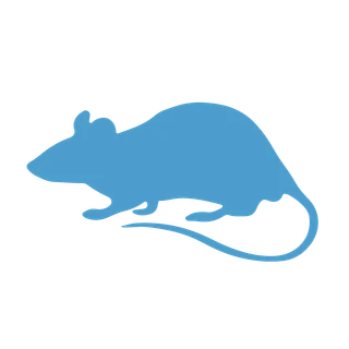 Anti-Mouse