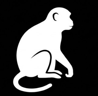 Anti-Monkey
