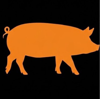 Anti-Pig