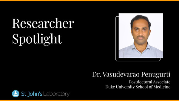 Researcher Spotlight