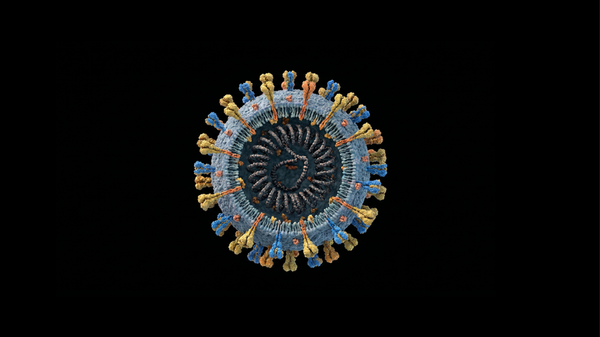 First complete sequence of the human genome published