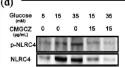 Glucose-driven transformable complex eliminates biofilm and alleviates inflamm-aging for diabetic periodontitis STJ195643