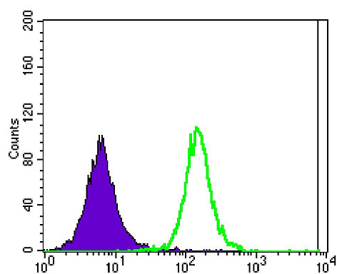Flow cytometric analysis of Jurkat cells using Ataxin-1 monoclonal antibody (green) and negative control (purple).