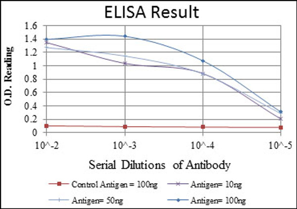 Anti-BECN1 antibody [2A4] (STJ97862)