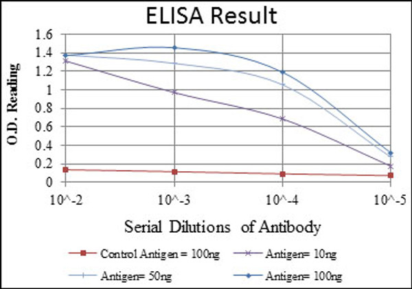 Anti-BMPR2 antibody [3F6] (STJ97877)