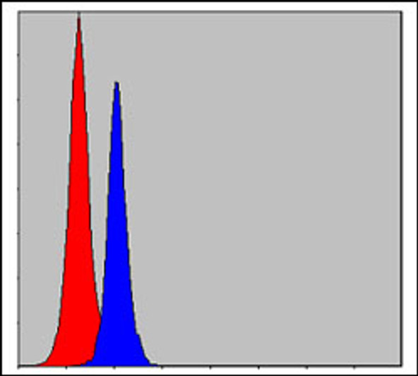 Flow cytometric analysis of MCF-7 cells using C/EBP Beta monoclonal antibody (blue) and negative control (red).