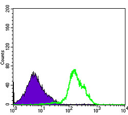 Flow cytometric analysis of RAJI cells using CD1A monoclonal antibody (green) and negative control (purple).