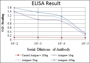 Anti-CRK antibody [3G11E8] (STJ97969)