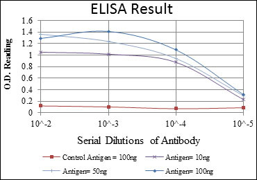 Anti-CCND3 antibody [6H4] (STJ97979)