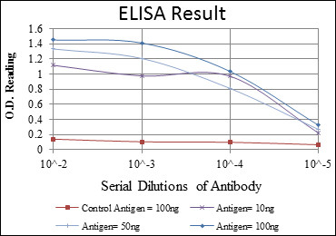 Anti-KRT19 antibody [4E8] (STJ97988)