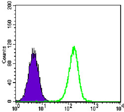Flow cytometric analysis of A549 cells using E2A monoclonal antibody (green) and negative control (purple).