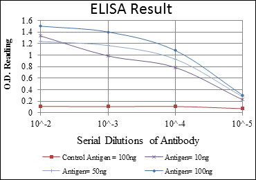 Anti-EIF4E antibody [5D11] (STJ98016)