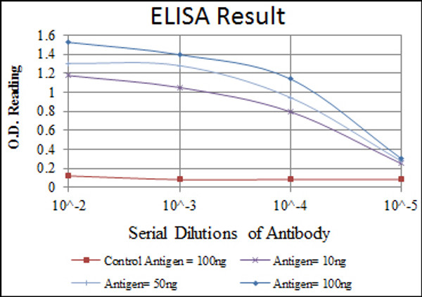 Anti-EPHA10 antibody [2E8] (STJ98023)