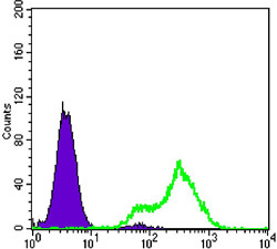 Flow cytometric analysis of LOVO cells using I-FABP monoclonal antibody (green) and negative control (purple).