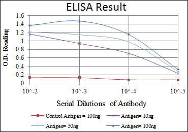 Anti-MSX1 antibody [5D11] (STJ98255)
